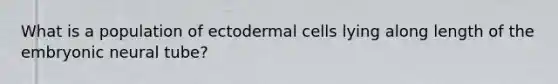 What is a population of ectodermal cells lying along length of the embryonic neural tube?