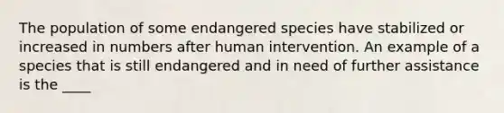 The population of some endangered species have stabilized or increased in numbers after human intervention. An example of a species that is still endangered and in need of further assistance is the ____