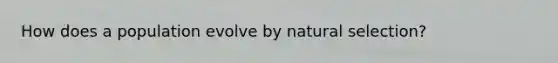 How does a population evolve by natural selection?