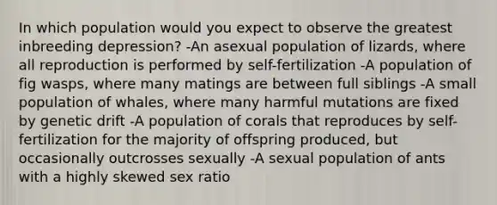 In which population would you expect to observe the greatest inbreeding depression? -An asexual population of lizards, where all reproduction is performed by self-fertilization -A population of fig wasps, where many matings are between full siblings -A small population of whales, where many harmful mutations are fixed by genetic drift -A population of corals that reproduces by self-fertilization for the majority of offspring produced, but occasionally outcrosses sexually -A sexual population of ants with a highly skewed sex ratio