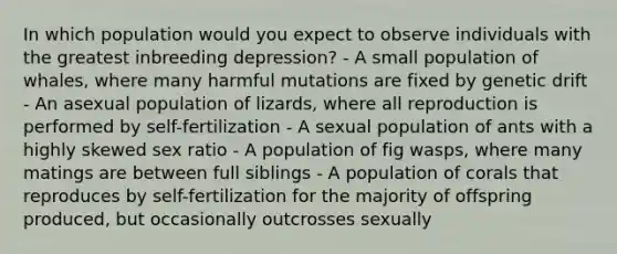 In which population would you expect to observe individuals with the greatest inbreeding depression? - A small population of whales, where many harmful mutations are fixed by genetic drift - An asexual population of lizards, where all reproduction is performed by self-fertilization - A sexual population of ants with a highly skewed sex ratio - A population of fig wasps, where many matings are between full siblings - A population of corals that reproduces by self-fertilization for the majority of offspring produced, but occasionally outcrosses sexually