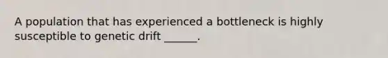 A population that has experienced a bottleneck is highly susceptible to genetic drift ______.