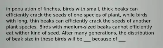 in population of finches, birds with small, thick beaks can efficiently crack the seeds of one species of plant, while birds with long, thin beaks can efficiently crack the seeds of another plant species. Birds with medium-sized beaks cannot efficiently eat wither kind of seed. After many generations, the distribution of beak size in these birds will be ___ because of ___