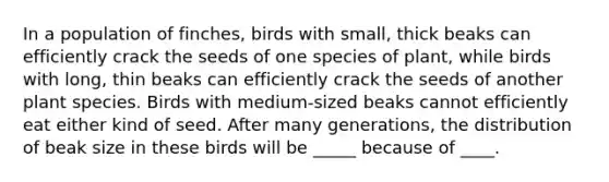 In a population of finches, birds with small, thick beaks can efficiently crack the seeds of one species of plant, while birds with long, thin beaks can efficiently crack the seeds of another plant species. Birds with medium-sized beaks cannot efficiently eat either kind of seed. After many generations, the distribution of beak size in these birds will be _____ because of ____.