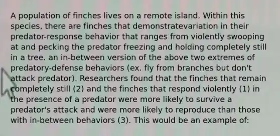 A population of finches lives on a remote island. Within this species, there are finches that demonstratevariation in their predator-response behavior that ranges from violently swooping at and pecking the predator freezing and holding completely still in a tree. an in-between version of the above two extremes of predatory-defense behaviors (ex. fly from branches but don't attack predator). Researchers found that the finches that remain completely still (2) and the finches that respond violently (1) in the presence of a predator were more likely to survive a predator's attack and were more likely to reproduce than those with in-between behaviors (3). This would be an example of: