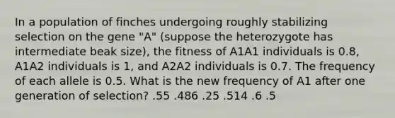 In a population of finches undergoing roughly stabilizing selection on the gene "A" (suppose the heterozygote has intermediate beak size), the fitness of A1A1 individuals is 0.8, A1A2 individuals is 1, and A2A2 individuals is 0.7. The frequency of each allele is 0.5. What is the new frequency of A1 after one generation of selection? .55 .486 .25 .514 .6 .5