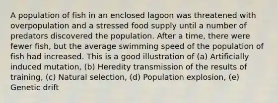 A population of fish in an enclosed lagoon was threatened with overpopulation and a stressed food supply until a number of predators discovered the population. After a time, there were fewer fish, but the average swimming speed of the population of fish had increased. This is a good illustration of (a) Artificially induced mutation, (b) Heredity transmission of the results of training, (c) Natural selection, (d) Population explosion, (e) Genetic drift