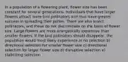 In a population of a flowering plant, flower size has been constant for several generations. Individuals that have larger flowers attract more bird pollinators and thus have greater success in spreading their pollen. There are also insect pollinators, and these do not discriminate on the basis of flower size. Large flowers are more energetically expensive than smaller flowers. If the bird pollinators should disappear, the population would most likely experience a) no selection b) directional selection for smaller flower size c) directional selection for larger flower size d) disruptive selection e) stabilizing selection