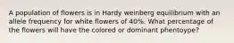 A population of flowers is in Hardy weinberg equilibrium with an allele frequency for white flowers of 40%. What percentage of the flowers will have the colored or dominant phentoype?