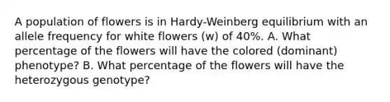 A population of flowers is in Hardy-Weinberg equilibrium with an allele frequency for white flowers (w) of 40%. A. What percentage of the flowers will have the colored (dominant) phenotype? B. What percentage of the flowers will have the heterozygous genotype?