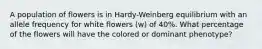 A population of flowers is in Hardy-Weinberg equilibrium with an allele frequency for white flowers (w) of 40%. What percentage of the flowers will have the colored or dominant phenotype?