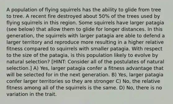 A population of flying squirrels has the ability to glide from tree to tree. A recent fire destroyed about 50% of the trees used by flying squirrels in this region. Some squirrels have larger patagia (see below) that allow them to glide for longer distances. In this generation, the squirrels with larger patagia are able to defend a larger territory and reproduce more resulting in a higher relative fitness compared to squirrels with smaller patagia. With respect to the size of the patagia, is this population likely to evolve by natural selection? [HINT: Consider all of the postulates of natural selection.] A) Yes, larger patagia confer a fitness advantage that will be selected for in the next generation. B) Yes, larger patagia confer larger territories so they are stronger C) No, the relative fitness among all of the squirrels is the same. D) No, there is no variation in the trait.