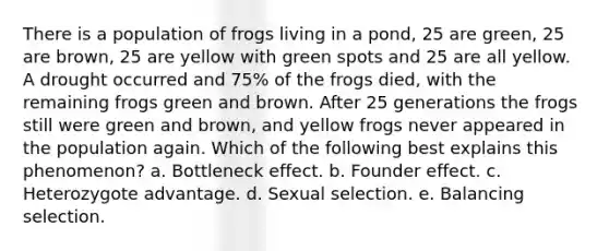 There is a population of frogs living in a pond, 25 are green, 25 are brown, 25 are yellow with green spots and 25 are all yellow. A drought occurred and 75% of the frogs died, with the remaining frogs green and brown. After 25 generations the frogs still were green and brown, and yellow frogs never appeared in the population again. Which of the following best explains this phenomenon? a. Bottleneck effect. b. Founder effect. c. Heterozygote advantage. d. Sexual selection. e. Balancing selection.