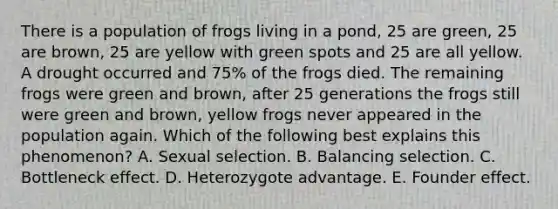 There is a population of frogs living in a pond, 25 are green, 25 are brown, 25 are yellow with green spots and 25 are all yellow. A drought occurred and 75% of the frogs died. The remaining frogs were green and brown, after 25 generations the frogs still were green and brown, yellow frogs never appeared in the population again. Which of the following best explains this phenomenon? A. Sexual selection. B. Balancing selection. C. Bottleneck effect. D. Heterozygote advantage. E. Founder effect.