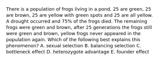 There is a population of frogs living in a pond, 25 are green, 25 are brown, 25 are yellow with green spots and 25 are all yellow. A drought occurred and 75% of the frogs died. The remaining frogs were green and brown, after 25 generations the frogs still were green and brown, yellow frogs never appeared in the population again. Which of the following best explains this phenomenon? A. sexual selection B. balancing selection C. bottleneck effect D. heterozygote advantage E. founder effect