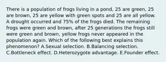 There is a population of frogs living in a pond, 25 are green, 25 are brown, 25 are yellow with green spots and 25 are all yellow. A drought occurred and 75% of the frogs died. The remaining frogs were green and brown, after 25 generations the frogs still were green and brown, yellow frogs never appeared in the population again. Which of the following best explains this phenomenon? A.Sexual selection. B.Balancing selection. C.Bottleneck effect. D.Heterozygote advantage. E.Founder effect.