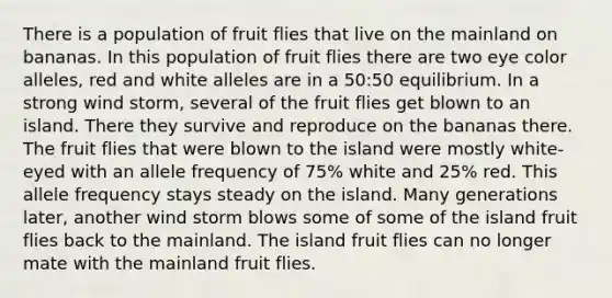 There is a population of fruit flies that live on the mainland on bananas. In this population of fruit flies there are two eye color alleles, red and white alleles are in a 50:50 equilibrium. In a strong wind storm, several of the fruit flies get blown to an island. There they survive and reproduce on the bananas there. The fruit flies that were blown to the island were mostly white-eyed with an allele frequency of 75% white and 25% red. This allele frequency stays steady on the island. Many generations later, another wind storm blows some of some of the island fruit flies back to the mainland. The island fruit flies can no longer mate with the mainland fruit flies.