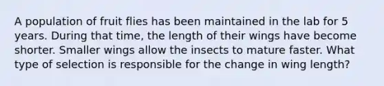 A population of fruit flies has been maintained in the lab for 5 years. During that time, the length of their wings have become shorter. Smaller wings allow the insects to mature faster. What type of selection is responsible for the change in wing length?