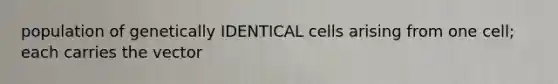 population of genetically IDENTICAL cells arising from one cell; each carries the vector