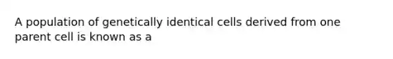 A population of genetically identical cells derived from one parent cell is known as a