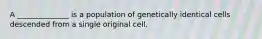 A ______________ is a population of genetically identical cells descended from a single original cell.