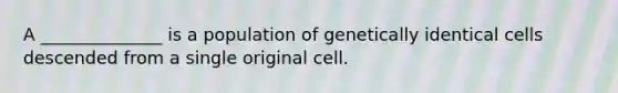 A ______________ is a population of genetically identical cells descended from a single original cell.