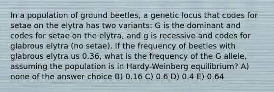 In a population of ground beetles, a genetic locus that codes for setae on the elytra has two variants: G is the dominant and codes for setae on the elytra, and g is recessive and codes for glabrous elytra (no setae). If the frequency of beetles with glabrous elytra us 0.36, what is the frequency of the G allele, assuming the population is in Hardy-Weinberg equilibrium? A) none of the answer choice B) 0.16 C) 0.6 D) 0.4 E) 0.64