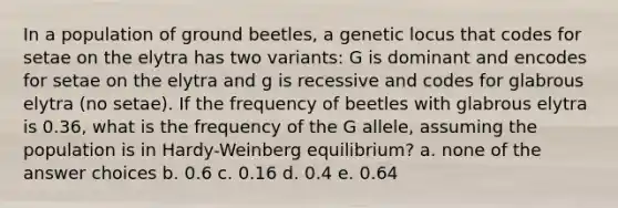 In a population of ground beetles, a genetic locus that codes for setae on the elytra has two variants: G is dominant and encodes for setae on the elytra and g is recessive and codes for glabrous elytra (no setae). If the frequency of beetles with glabrous elytra is 0.36, what is the frequency of the G allele, assuming the population is in Hardy-Weinberg equilibrium? a. none of the answer choices b. 0.6 c. 0.16 d. 0.4 e. 0.64