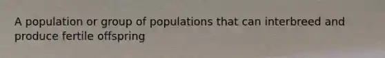 A population or group of populations that can interbreed and produce fertile offspring