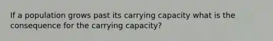 If a population grows past its carrying capacity what is the consequence for the carrying capacity?