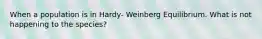 When a population is in Hardy- Weinberg Equilibrium. What is not happening to the species?