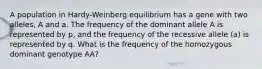 A population in Hardy-Weinberg equilibrium has a gene with two alleles, A and a. The frequency of the dominant allele A is represented by p, and the frequency of the recessive allele (a) is represented by q. What is the frequency of the homozygous dominant genotype AA?