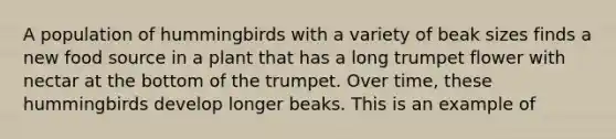 A population of hummingbirds with a variety of beak sizes finds a new food source in a plant that has a long trumpet flower with nectar at the bottom of the trumpet. Over time, these hummingbirds develop longer beaks. This is an example of