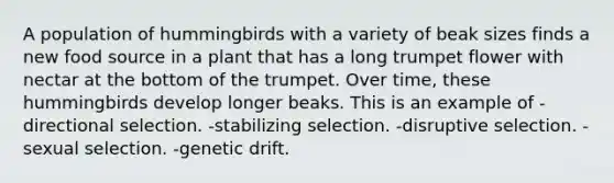 A population of hummingbirds with a variety of beak sizes finds a new food source in a plant that has a long trumpet flower with nectar at the bottom of the trumpet. Over time, these hummingbirds develop longer beaks. This is an example of -directional selection. -stabilizing selection. -disruptive selection. -sexual selection. -genetic drift.