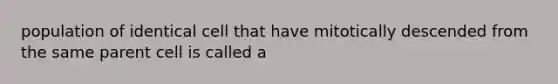 population of identical cell that have mitotically descended from the same parent cell is called a