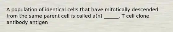 A population of identical cells that have mitotically descended from the same parent cell is called a(n) ______. T cell clone antibody antigen