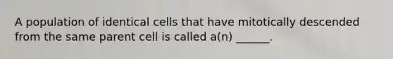 A population of identical cells that have mitotically descended from the same parent cell is called a(n) ______.