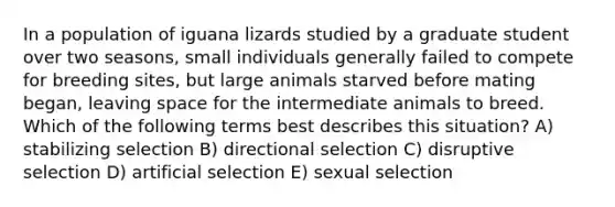 In a population of iguana lizards studied by a graduate student over two seasons, small individuals generally failed to compete for breeding sites, but large animals starved before mating began, leaving space for the intermediate animals to breed. Which of the following terms best describes this situation? A) stabilizing selection B) directional selection C) disruptive selection D) artificial selection E) sexual selection