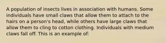 A population of insects lives in association with humans. Some individuals have small claws that allow them to attach to the hairs on a person's head, while others have large claws that allow them to cling to cotton clothing. Individuals with medium claws fall off. This is an example of: