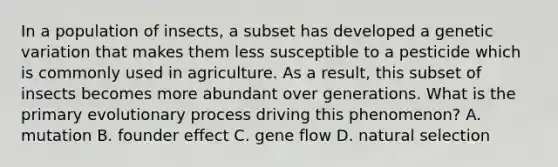 In a population of insects, a subset has developed a genetic variation that makes them less susceptible to a pesticide which is commonly used in agriculture. As a result, this subset of insects becomes more abundant over generations. What is the primary evolutionary process driving this phenomenon? A. mutation B. founder effect C. gene flow D. natural selection