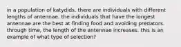 in a population of katydids, there are individuals with different lengths of antennae. the individuals that have the longest antennae are the best at finding food and avoiding predators. through time, the length of the antennae increases. this is an example of what type of selection?