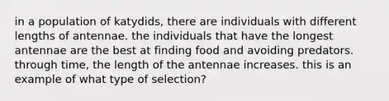 in a population of katydids, there are individuals with different lengths of antennae. the individuals that have the longest antennae are the best at finding food and avoiding predators. through time, the length of the antennae increases. this is an example of what type of selection?