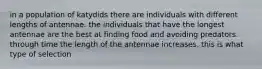 in a population of katydids there are individuals with different lengths of antennae. the individuals that have the longest antennae are the best at finding food and avoiding predators. through time the length of the antennae increases. this is what type of selection