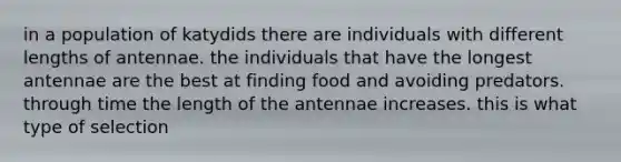 in a population of katydids there are individuals with different lengths of antennae. the individuals that have the longest antennae are the best at finding food and avoiding predators. through time the length of the antennae increases. this is what type of selection