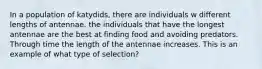 In a population of katydids, there are individuals w different lengths of antennae. the individuals that have the longest antennae are the best at finding food and avoiding predators. Through time the length of the antennae increases. This is an example of what type of selection?