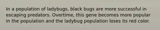 In a population of ladybugs, black bugs are more successful in escaping predators. Overtime, this gene becomes more popular in the population and the ladybug population loses its red color.