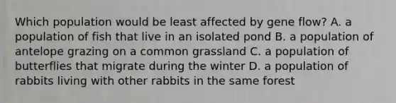 Which population would be least affected by gene flow? A. a population of fish that live in an isolated pond B. a population of antelope grazing on a common grassland C. a population of butterflies that migrate during the winter D. a population of rabbits living with other rabbits in the same forest