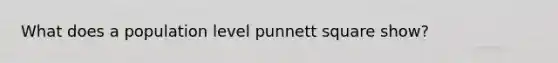 What does a population level punnett square show?