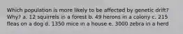 Which population is more likely to be affected by genetic drift? Why? a. 12 squirrels in a forest b. 49 herons in a colony c. 215 fleas on a dog d. 1350 mice in a house e. 3000 zebra in a herd