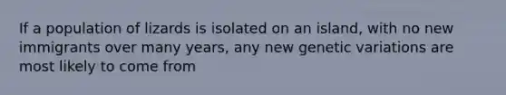 If a population of lizards is isolated on an island, with no new immigrants over many years, any new genetic variations are most likely to come from